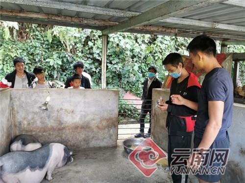 佳合科技计划每股分红0.1元，同时每10股转增3股