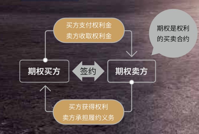 ＞2025新澳精准正版免费和2025澳门特马网站www构建解答、专家解读解释与落实与警惕虚假宣传-全面释义、专家解读解释与落实