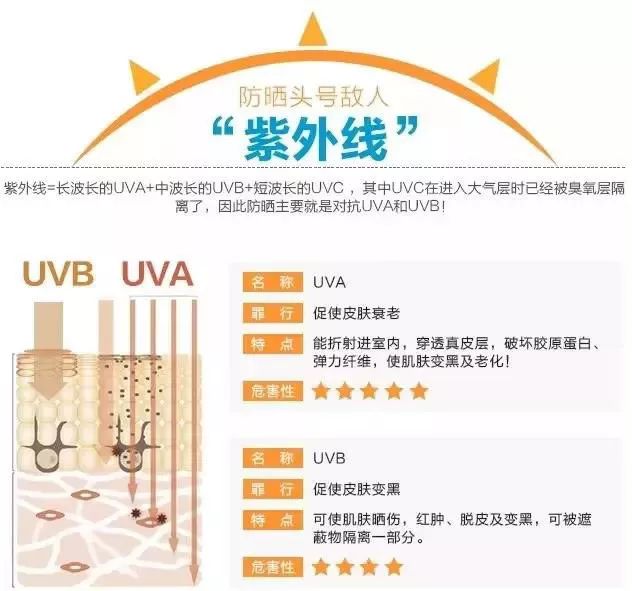 2025澳门特马网站www与2025新澳门天天免费精准,全面释义、专家解读与落实 警惕虚假宣传 全面释义、解释与落实